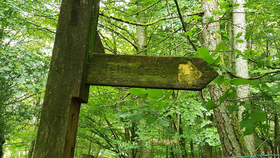 Signpost in forest pointing to Helm Crag from Grasmere